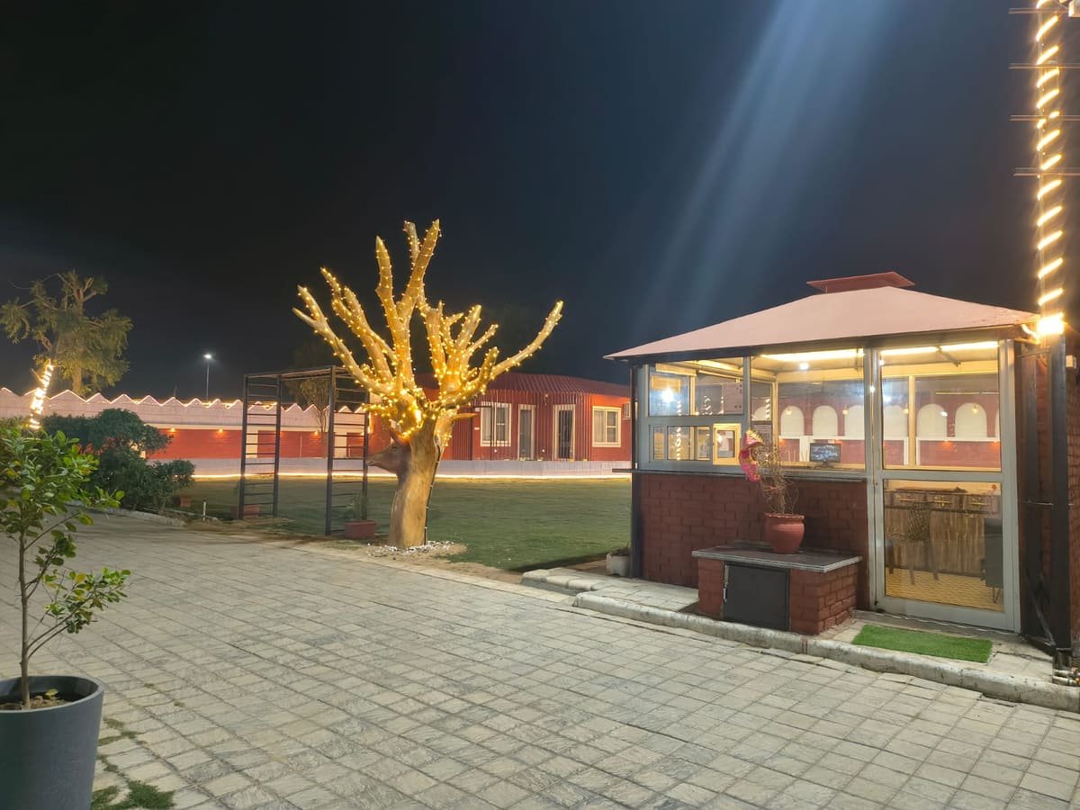 The lawn at The Garden in Jagatpura lit at night, with the fairy-lit tree and reception cabin